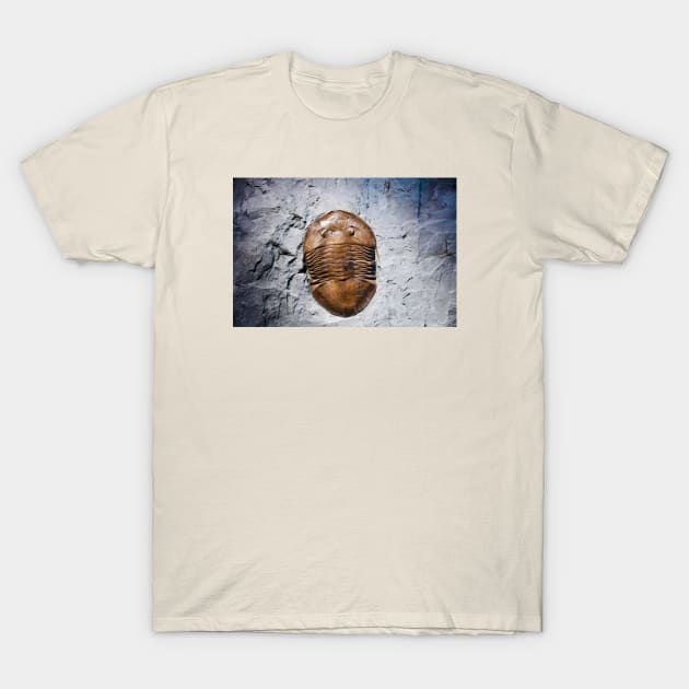 Fossil 2 T-Shirt by Wolf Art / Swiss Artwork Photography